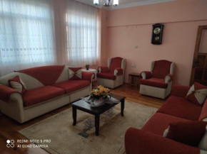 Demre Yener Apart